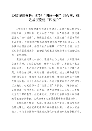 经验交流材料：打好“四位一体”组合拳 推进基层党建“四提升”
