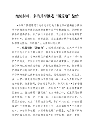 经验总结：多措并举推进“撂荒地”整治