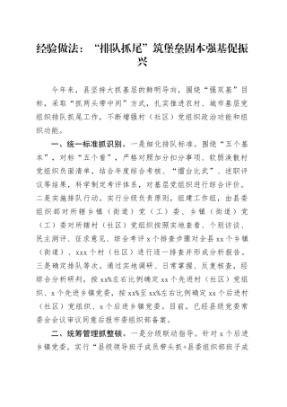 经验做法：“排队抓尾”筑堡垒 固本强基促振兴（发言）