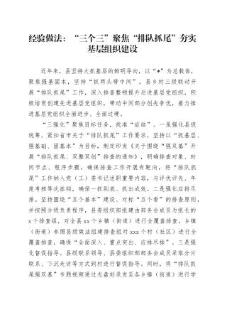 经验做法：“三个三”聚焦“排队抓尾”夯实基层组织建设（发言）
