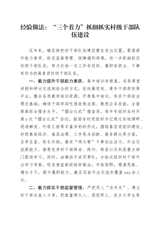 经验做法：“三个着力”抓细抓实村级干部队伍建设