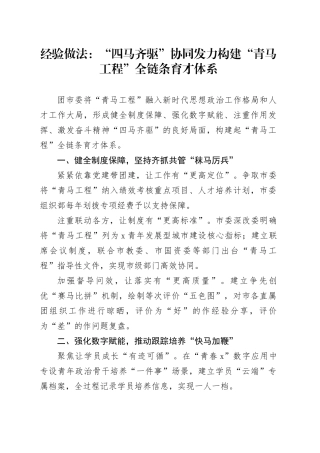 经验做法：“四马齐驱”协同发力 构建“青马工程”全链条育才体系