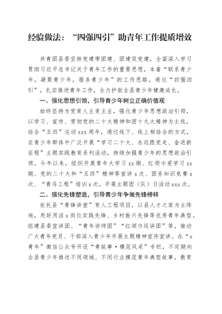 经验做法：“四强四引”助青年工作提质增效