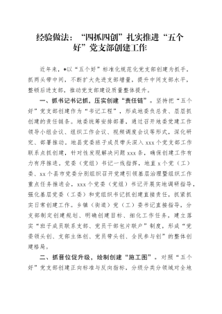 经验做法：“四抓四创”扎实推进“五个好”党支部创建工作