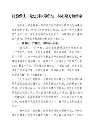 经验做法：党建引领强堡垒，凝心聚力担使命