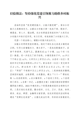 经验做法：坚持强化党建引领聚力助推乡村振兴