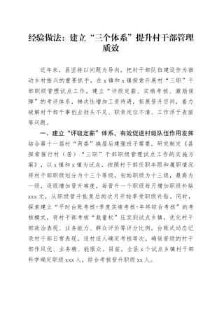 经验做法：建立“三个体系”提升村干部管理质效（发言）