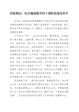经验做法：综合施策提升村干部队伍建设水平（发言）