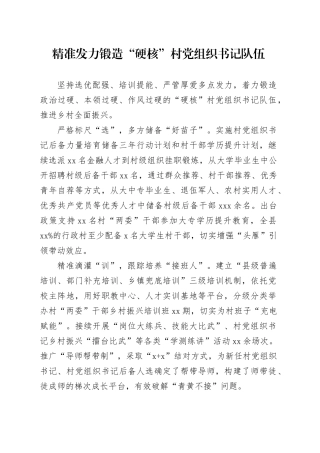 精准发力锻造“硬核”村党组织书记队伍