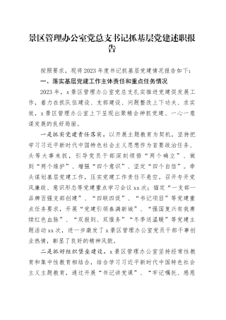 景区管理办公室党总支书记抓基层党建述职报告