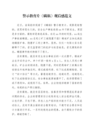 警示教育片瞒祸观后感研讨发言心得体会20240306