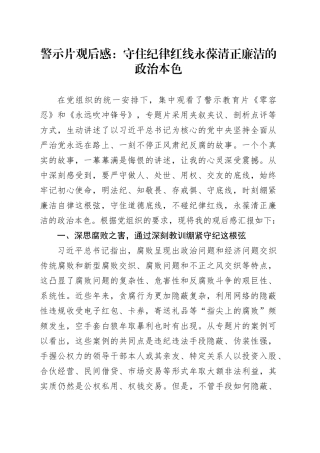 警示片心得体会发言：守住纪律红线   永葆清正廉洁的政治本色（《零容忍》《永远吹冲锋号》）