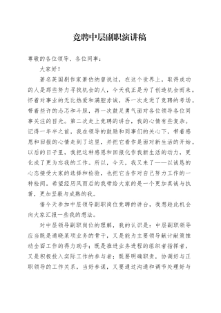 竞聘中层副职演讲稿