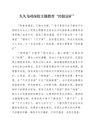 久久为功深挖主题教育“经验富矿”