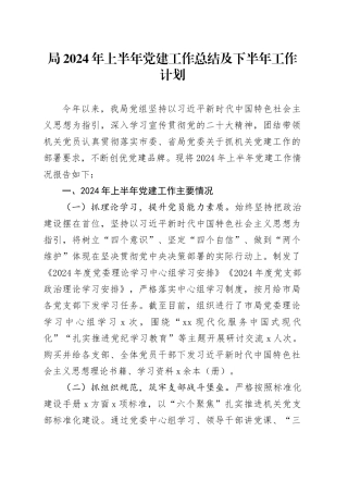 局2024年上半年党建工作总结汇报报告及下半年工作计划含问题20240717