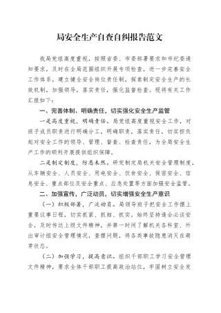 局安全生产自查自纠报告工作汇报总结20240422