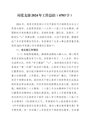 局党支部2024年工作总结（4703字）