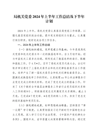 局机关党委2024年上半年工作总结及下半年计划