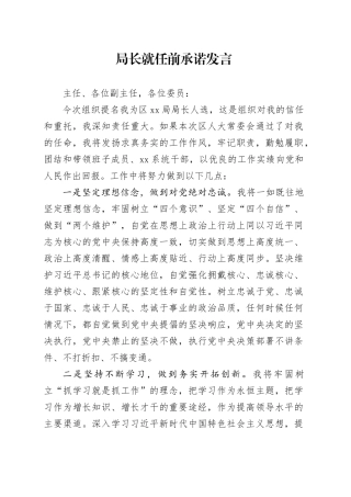 局长就任前承诺发言