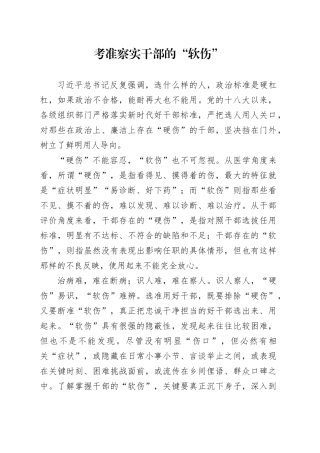 考准察实干部的“软伤”