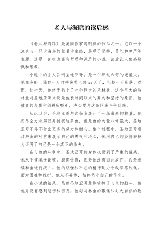 老人与海鸥的读后感范文