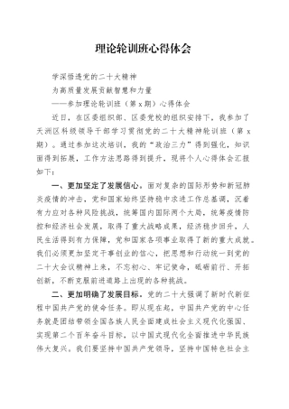 理论轮训班心得体会（发言）