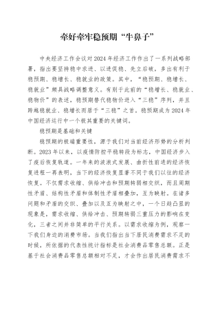 理论中心组研讨发言讲话心得：牵好牵牢稳预期“牛鼻子”