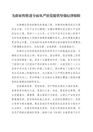 理论中心组研讨发言讲话心得：为新征程推进全面从严治党 提供坚强纪律保障