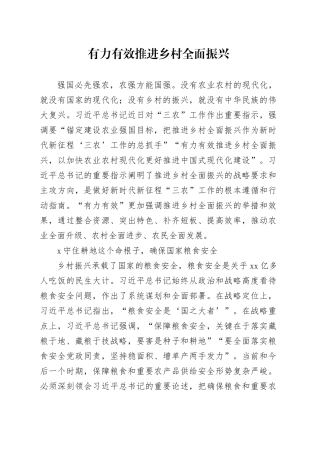 理论中心组研讨发言讲话心得：有力有效推进乡村全面振兴