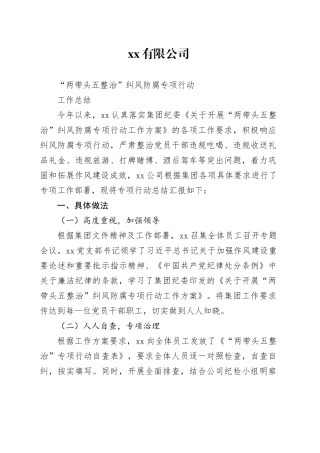 两带头五整治纠风防腐专项行动工作总结