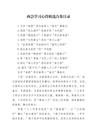 两会学习心得体会发言10篇