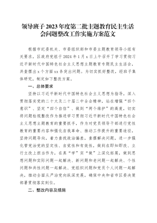 领导班子2023年度第二批主题教育民主生活会问题整改工作实施方案20240131