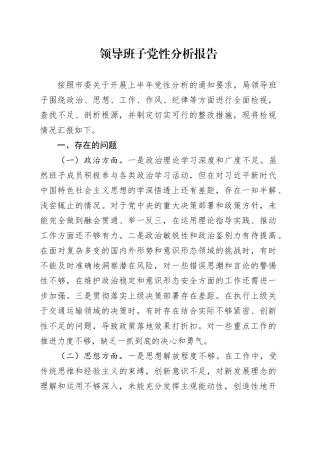 领导班子党性分析报告3000字