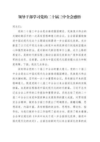 领导干部学习党的二十届三中全会感悟