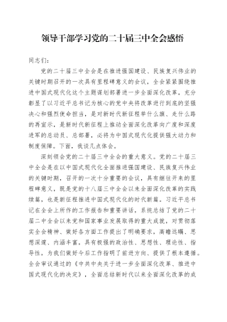 领导干部学习二十届三中全会感悟