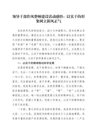 领导干部作风整顿建设活动感悟：以实干的形象树立新风正气