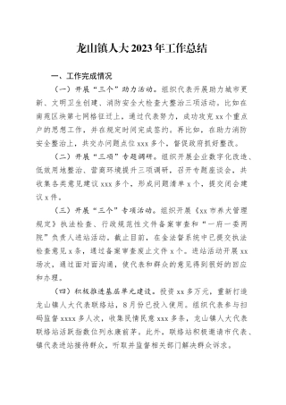 龙山镇人大2023年工作总结