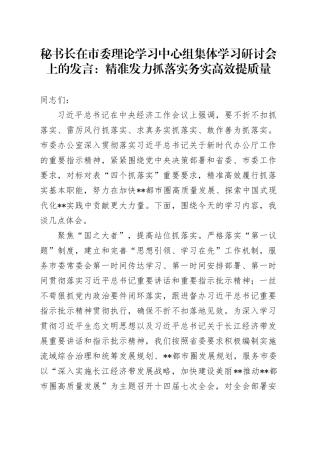 秘书长在市委理论学习中心组集体学习研讨会上的发言：精准发力抓落实 务实高效提质量
