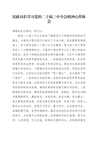 民政局长学习党的二十届三中全会精神心得体会