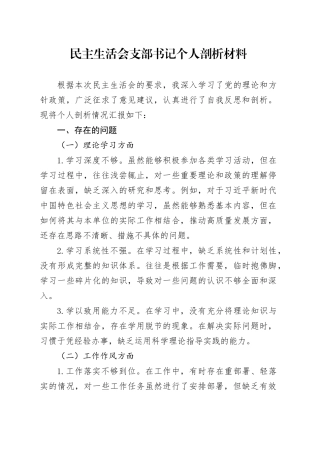 民主生活会支部书记个人剖析材料