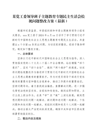 某党工委领导班子主题教育专题民主生活会检视问题整改方案