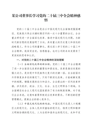某公司董事长学习党的二十届三中全会精神感悟