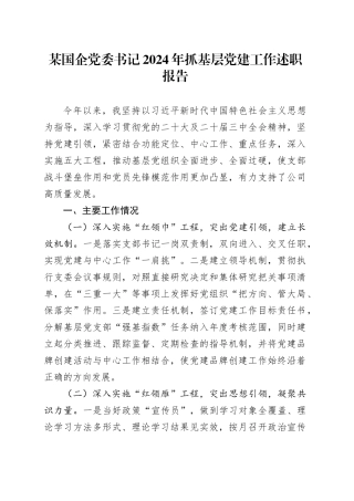 某国企党委书记2024年抓基层党建工作述职报告