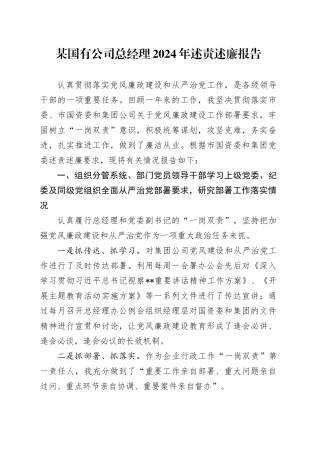 某国有公司总经理2024年述责述廉报告