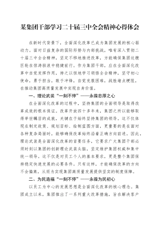 某集团干部学习二十届三中全会精神心得体会