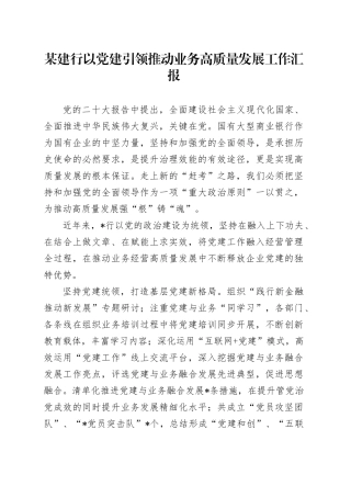 某建行以党建引领推动业务高质量发展工作汇报