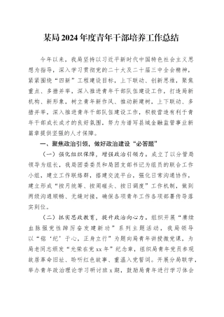 某局2024年度青年干部培养工作总结
