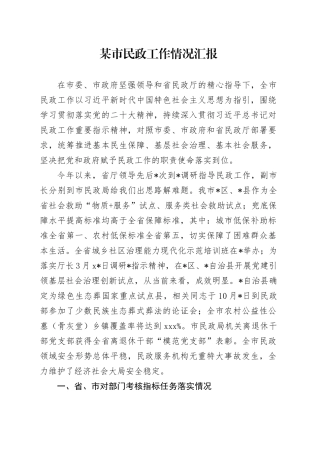 某市民政工作情况汇报