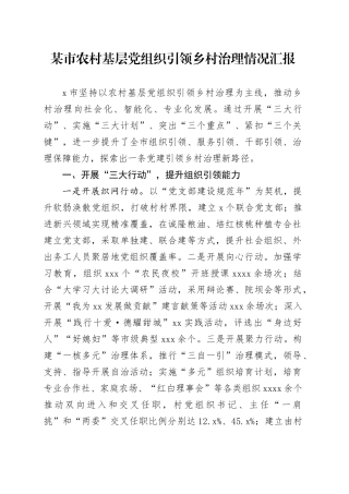 某市农村基层党组织引领乡村治理情况汇报
