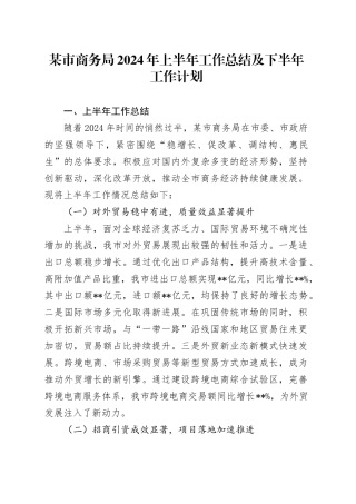 某市商务局2024年上半年工作总结及下半年工作计划